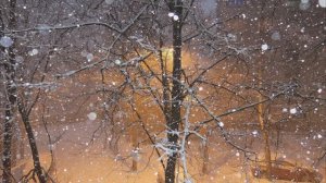 Я тебя подожду (cover)