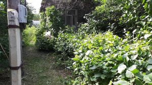 Расчистка участка. Часть 4