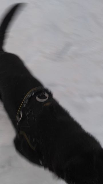 1000024833.mp4 смотреть онлайн