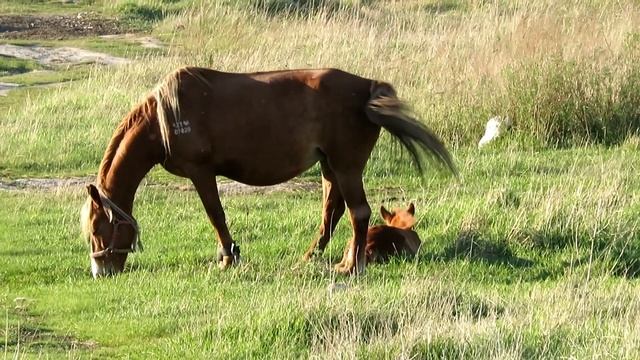 Деревни Северного Казахстана: весна в Белом