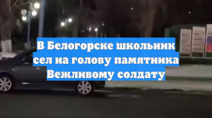 В Белогорске школьник сел на голову памятника Вежливому солдату