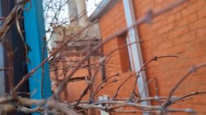 Вместе проводим обработку винонрада ,сада и роз.