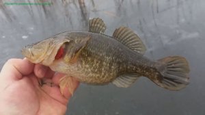 Открытие сезона первый лед!   The opening of the season is the first ice!