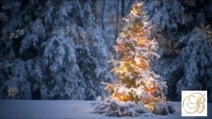 Снег в декабре ❄️☃️❄️Сергей Одинцов