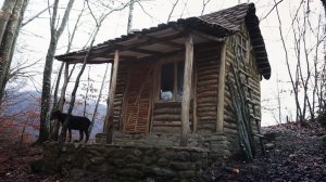 Строю тёплый дом в лесу за год. Бушкрафт и выживание