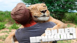 ЛУЧШИЕ ПРИКОЛЫ 2025 | ПРИКОЛЫ 2025 | СВЕЖИЕ ПРИКОЛЫ 2025 | РЖУ НЕ МОГУ |