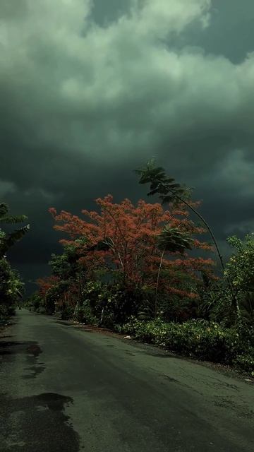 Прелюдия к буре #дзен @plant_1025