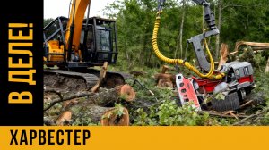 Тяжелый бизнес / ХАРВЕСТЕР в работе  / РАСЧИСТКА УЧАСТКОВ от ДКР