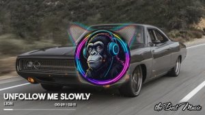 Unfollow Me Slowly - Lion