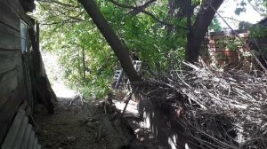 Расчистка участка. Часть 5