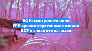 ВС России уничтожили FPV-дроном спрятанные позиции ВСУ и сняли это на видео