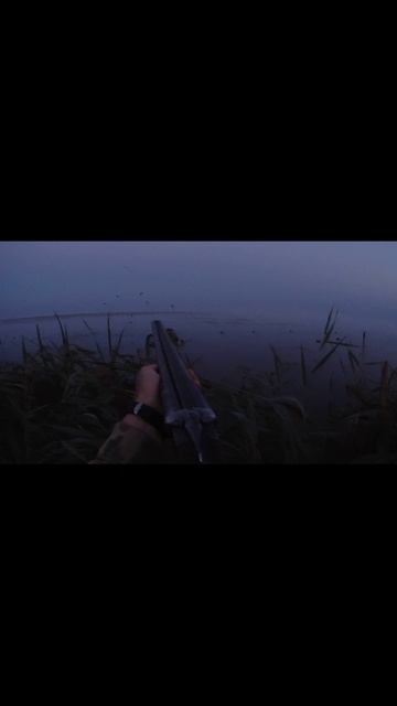 Чирки атакаут shorts смотреть онлайн