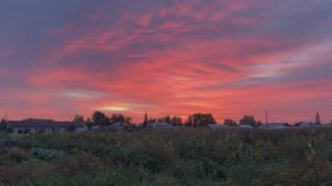 🎼. «Смуглянка» - Хор им.Александрова А.В.