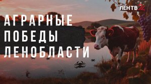 Агропромышленный комплекс Ленинградской области подвел первые итоги года