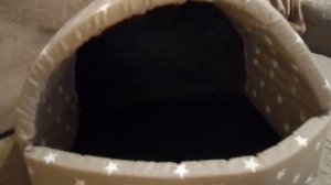 Кошкин дом 🏠