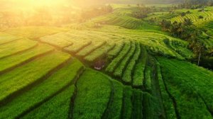 Природа красивое видео, заставка