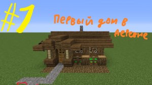 Строю домик в Minecraft I Деревня в Minecraft