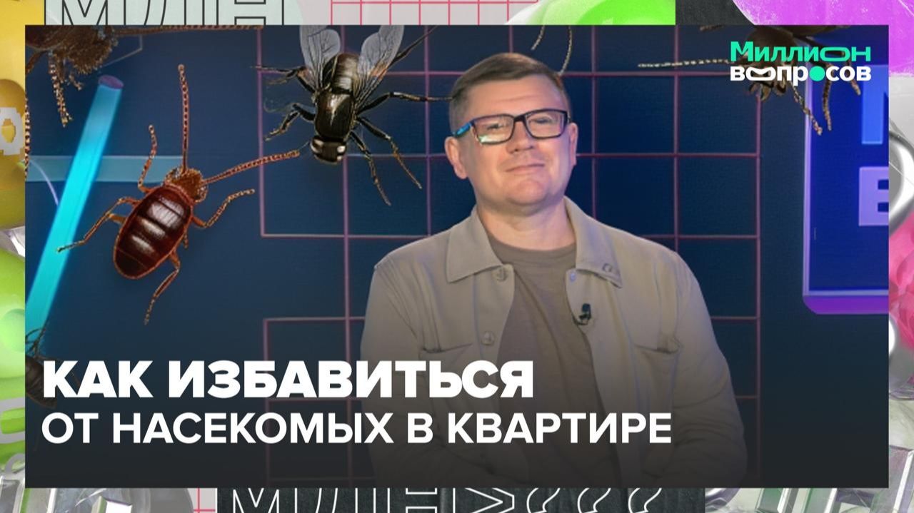 Как избавиться от насекомых в квартире? | Миллион вопросов — Москва 24 | Контент
