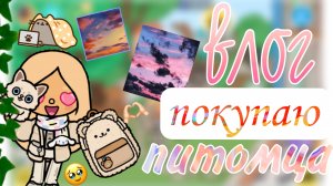влог покупаю котёнка тока бока