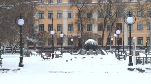 Синоптики рассказали о погоде в Вологодской области