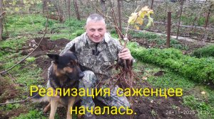 Добавь яркости.Саженцы готовы.Спасибо всем!