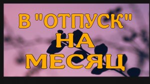 ДЕЛА, ДЕЛА, ДЕЛА...Я С ВАМИ!🫂😘💜💜💜