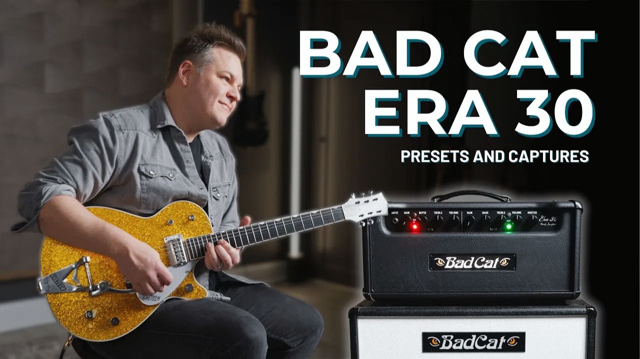 Signal Theory: Bad Cat Era 30 ⧸⧸ Пресеты и захваты ⧸⧸ Шедевр Марка Сэмпсона