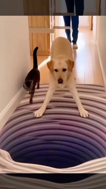 Иллюзия обмана