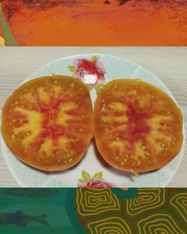 Томат Хартсак желтый  т. 89229284031