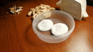 Как правильно проращивать арахис