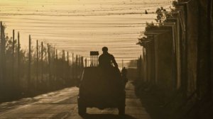 Осужденный на 10 лет экс-глава департамента ПФР Рыжков находится на СВО