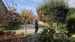 12-15 ноября 2025. Осенний влог. Еда на пару, песочное печенье  новая, обувь