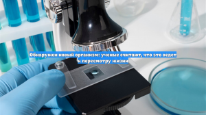 Обнаружен новый организм: ученые считают, что это ведет к пересмотру жизни