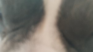 разговариваем