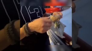 Чебурашка СВО. Новая версия песни, более расширенная. Супер хит СВО