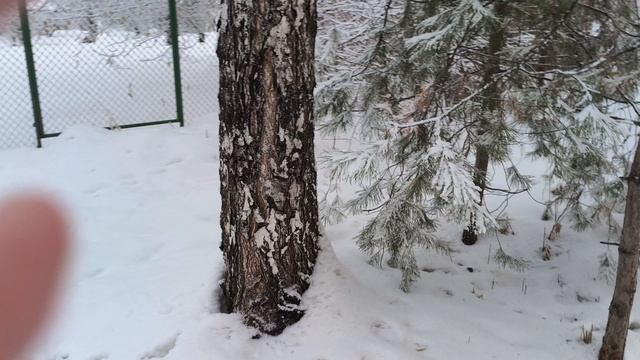 1000024832.mp4 смотреть онлайн