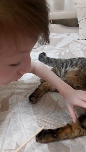 Кот на маникюре юмор смотреть онлайн