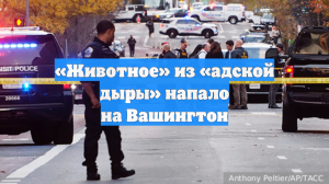 «Животное» из «адской дыры» напало на Вашингтон