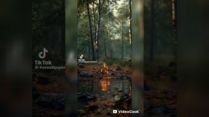 ИИ-"Ты играла"(На Мальдивском языке)
Музыка и исполнение ИИ 
Автор текста я.