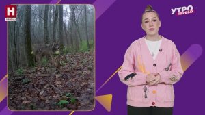 Лучшие видео | В ТРЕНДЕ