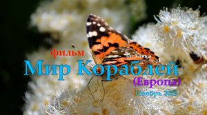 Заставка Мира Кораблей (Европа) Ноябрь 2025 года