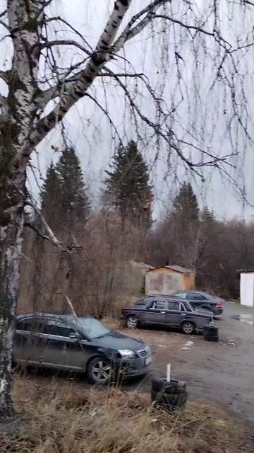 video_2025-11-27_09-11-13 смотреть онлайн