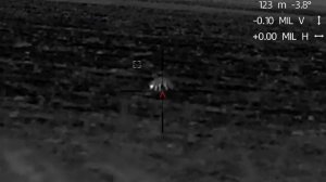 ночная охота на лису