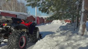 Сокол может и…