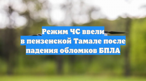 Режим ЧС ввели в пензенской Тамале после падения обломков БПЛА