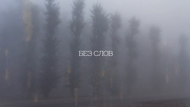 Дима К - Без слов