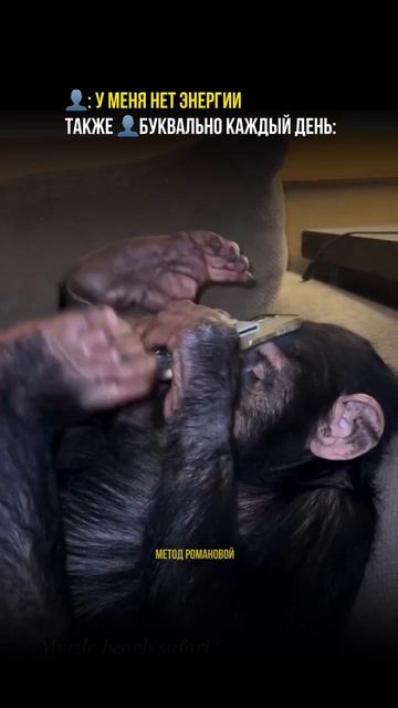 Кто такой же энергичный?😄 #методромановой #шаманизм