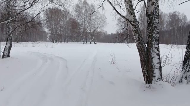 Пробный выезд зимой на снегоходе и квадроцикле в лес