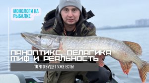 Паноптикс - волшебная пилюля от бесклевья // можно ли ловить пелагикой без приборов лайвскоп