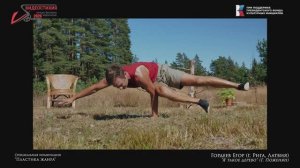 VS-2025 Спецдиплом  17  Пластика жанра  –  Е. Гордеев  «Я такое дерево»